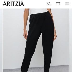 Aritzia Babaton Dexter pants